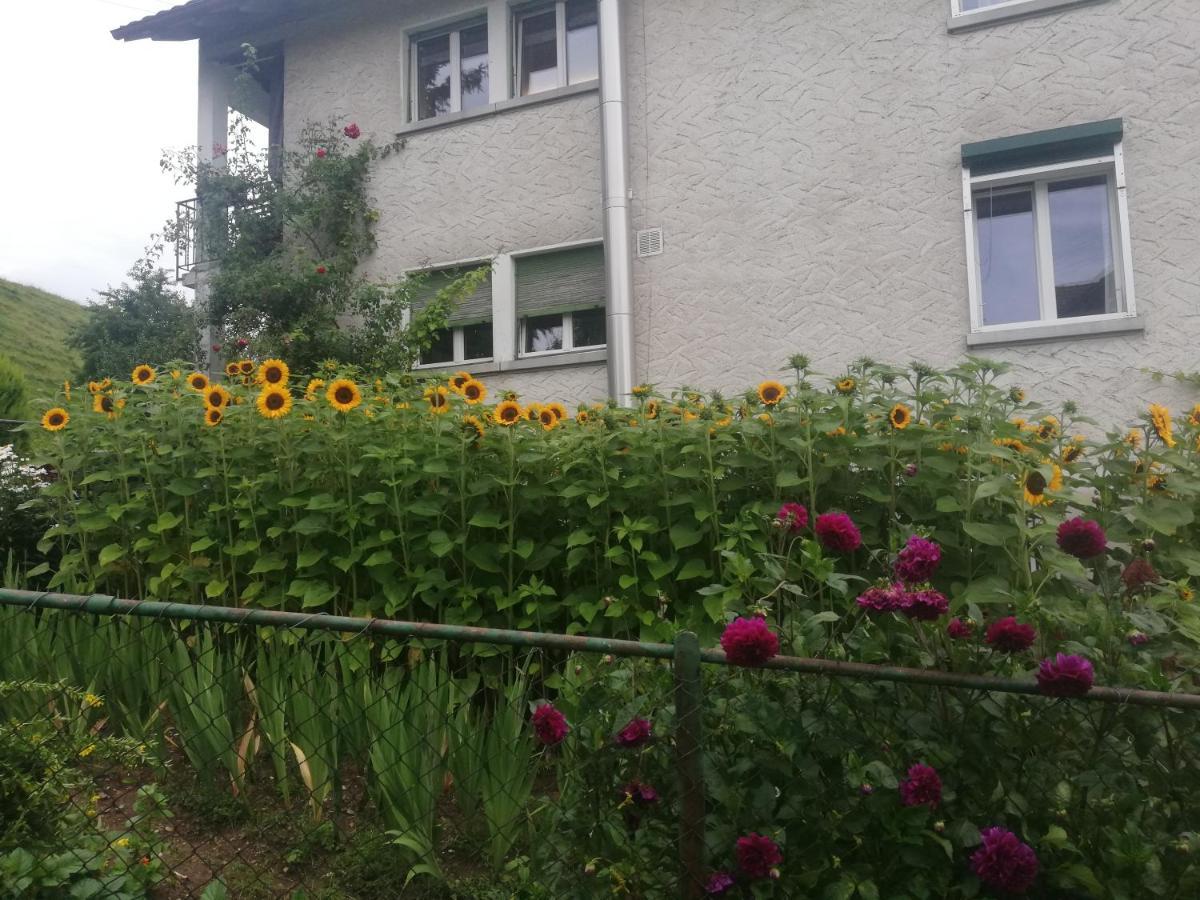 Billenberghof Apartment St. Gallen Exterior photo